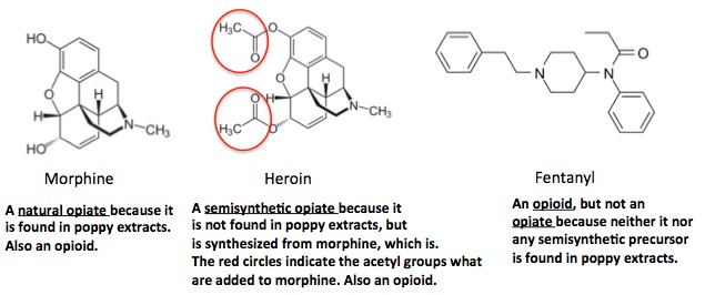 'Synthetic' And 'Opioids': Two Useless, Confusing Terms That Need To Go ...